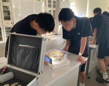 2025�г⵵ ���������� ���� ÷���̹���